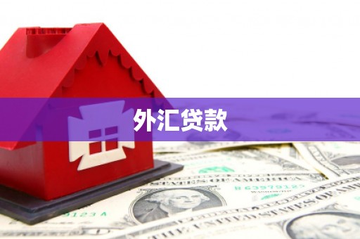 山东外汇贷款