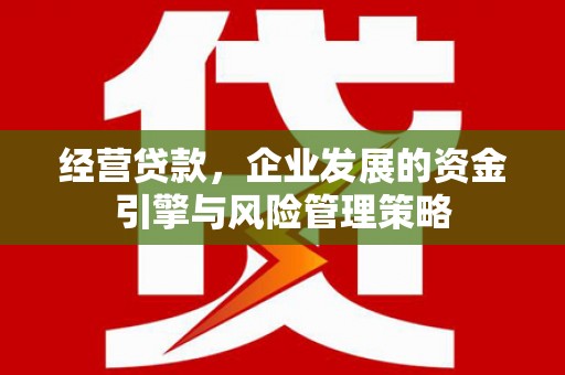 山东经营贷款，企业发展的资金引擎与风险管理策略