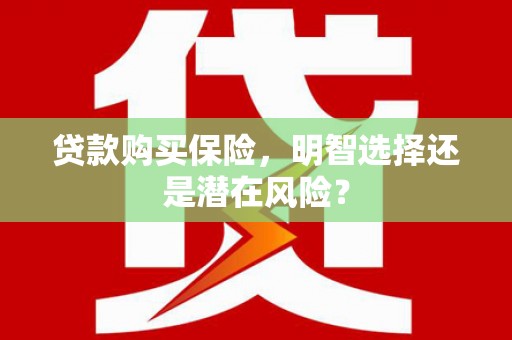 山东贷款购买保险，明智选择还是潜在风险？