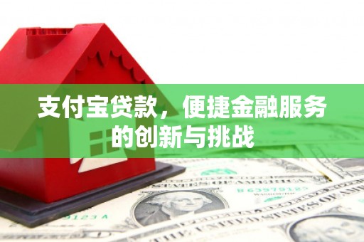 山东支付宝贷款，便捷金融服务的创新与挑战