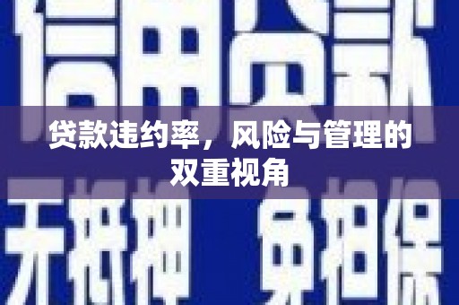 山东贷款违约率，风险与管理的双重视角