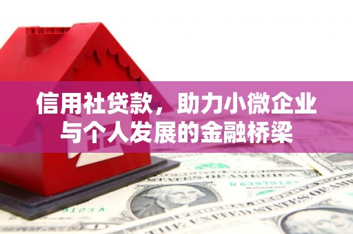 山东信用社贷款，助力小微企业与个人发展的金融桥梁