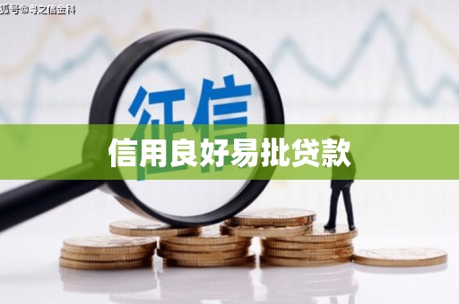 山东信用良好易批贷款