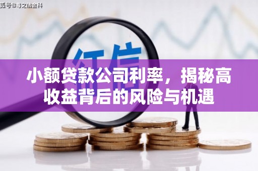 山东小额贷款公司利率，揭秘高收益背后的风险与机遇