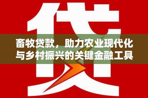 山东畜牧贷款，助力农业现代化与乡村振兴的关键金融工具