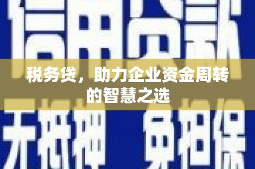 山东税务贷，助力企业资金周转的智慧之选