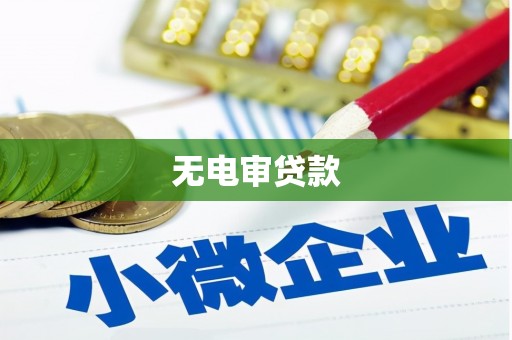 山东无电审贷款