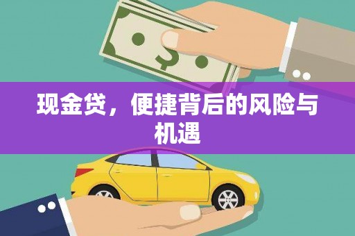 山东现金贷，便捷背后的风险与机遇