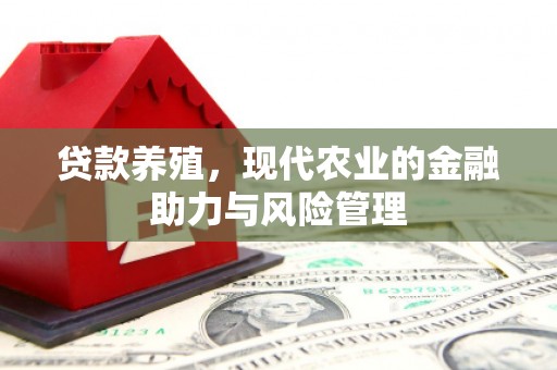 山东贷款养殖，现代农业的金融助力与风险管理