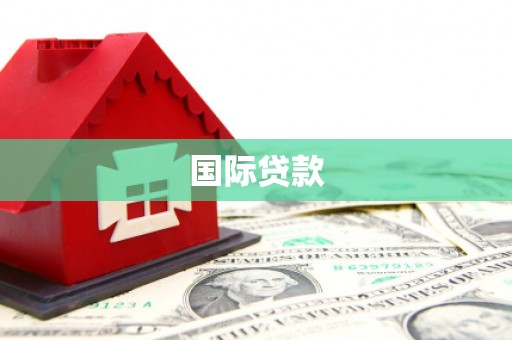 山东国际贷款