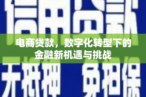 山东电商贷款，数字化转型下的金融新机遇与挑战