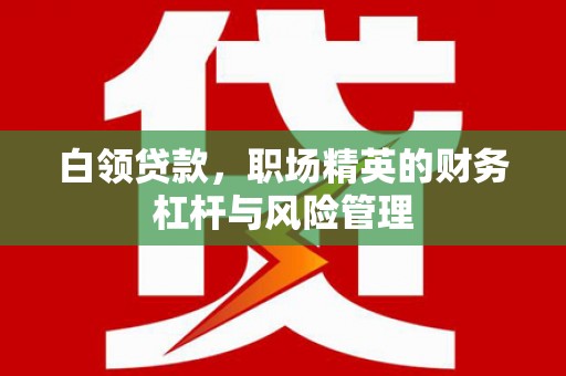 山东白领贷款，职场精英的财务杠杆与风险管理