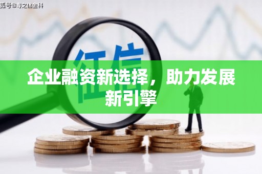 山东企业融资新选择，助力发展新引擎