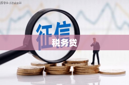 山东税务贷