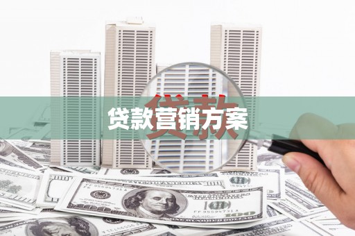 山东贷款营销方案