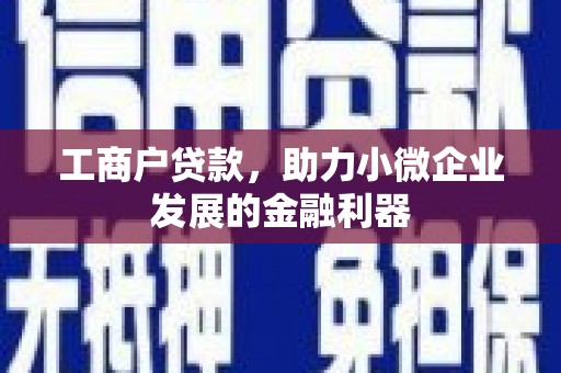 山东工商户贷款，助力小微企业发展的金融利器
