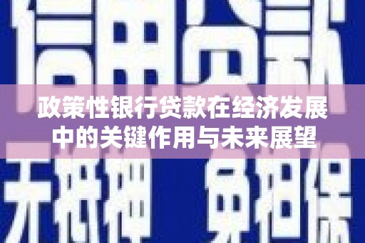山东政策性银行贷款在经济发展中的关键作用与未来展望