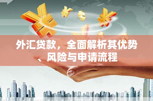 山东外汇贷款，全面解析其优势、风险与申请流程