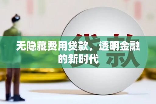 山东无隐藏费用贷款，透明金融的新时代