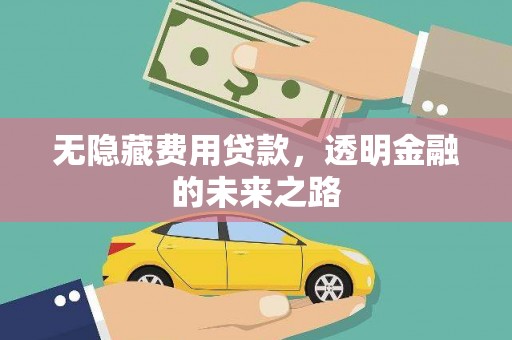 山东无隐藏费用贷款，透明金融的未来之路