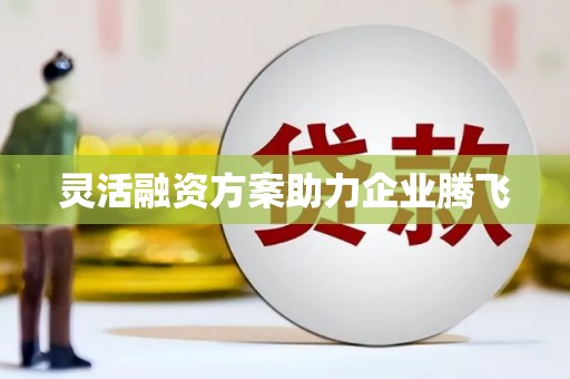 山东灵活融资方案助力企业腾飞