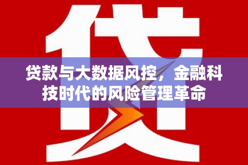 山东贷款与大数据风控，金融科技时代的风险管理革命