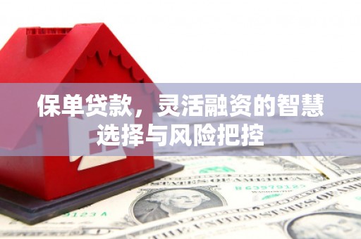 山东保单贷款，灵活融资的智慧选择与风险把控