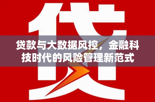 山东贷款与大数据风控，金融科技时代的风险管理新范式