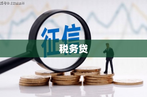 山东税务贷