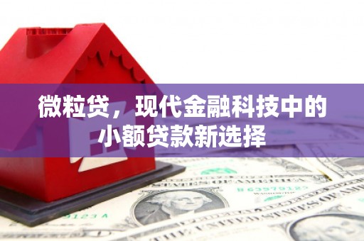 山东微粒贷，现代金融科技中的小额贷款新选择