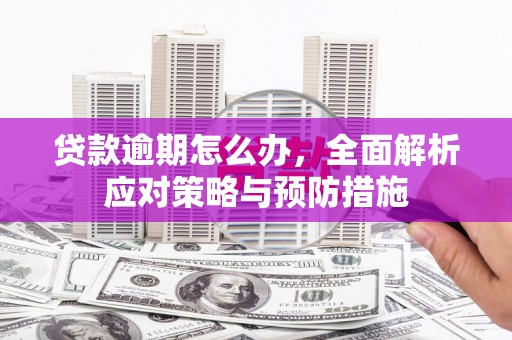 山东贷款逾期怎么办，全面解析应对策略与预防措施