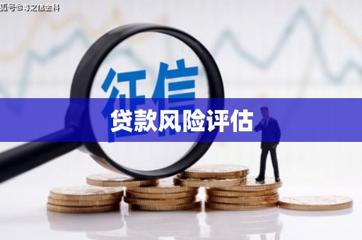 山东贷款风险评估