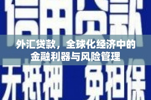 山东外汇贷款，全球化经济中的金融利器与风险管理