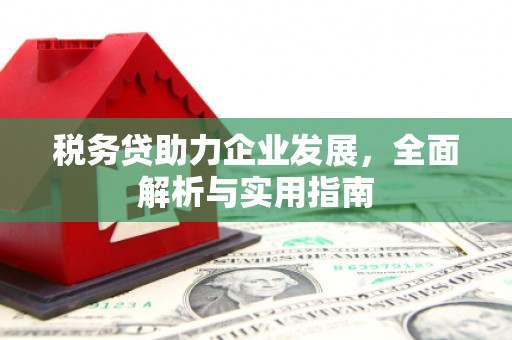 山东税务贷助力企业发展，全面解析与实用指南