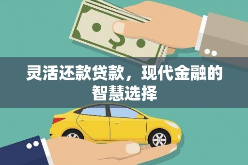 山东灵活还款贷款，现代金融的智慧选择