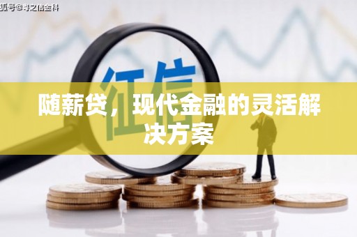 山东随薪贷，现代金融的灵活解决方案