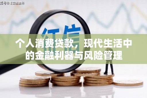 山东个人消费贷款，现代生活中的金融利器与风险管理