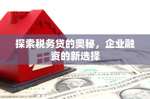 山东探索税务贷的奥秘，企业融资的新选择