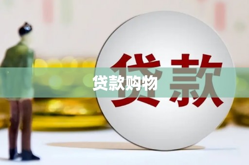 山东贷款购物