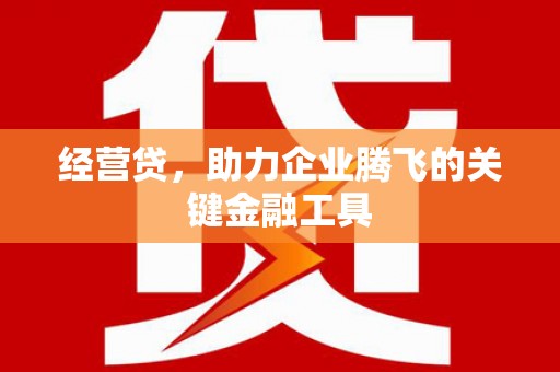 山东经营贷，助力企业腾飞的关键金融工具