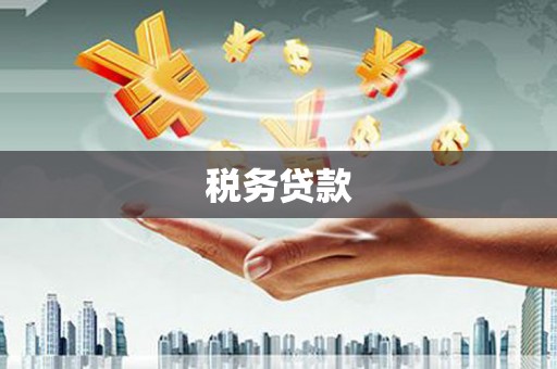 山东税务贷款