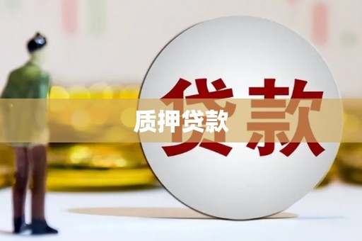 山东质押贷款