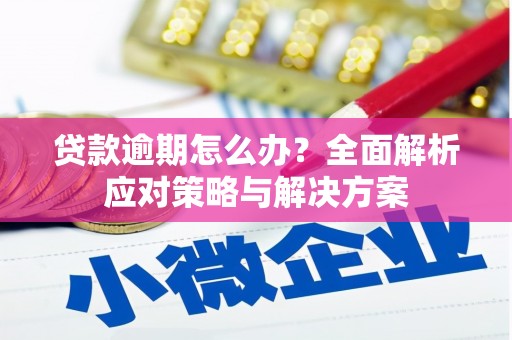 山东贷款逾期怎么办？全面解析应对策略与解决方案