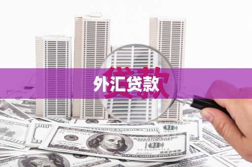 山东外汇贷款