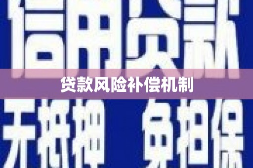 山东贷款风险补偿机制