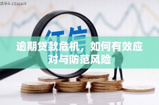 山东逾期贷款危机，如何有效应对与防范风险