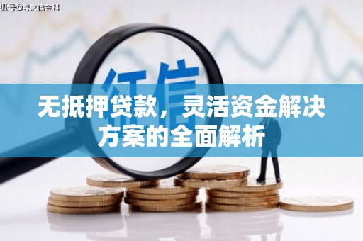 山东无抵押贷款，灵活资金解决方案的全面解析