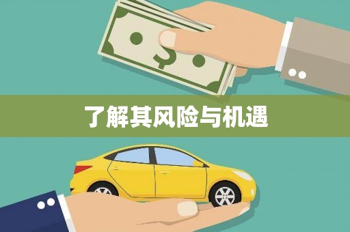 山东了解其风险与机遇