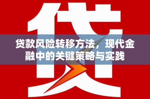 山东贷款风险转移方法，现代金融中的关键策略与实践