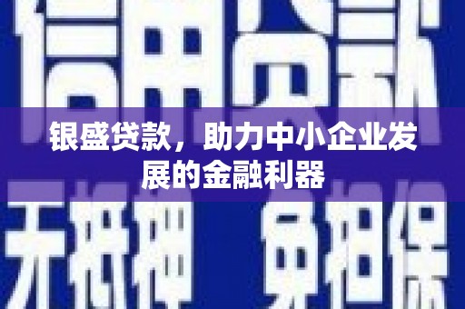 山东银盛贷款，助力中小企业发展的金融利器